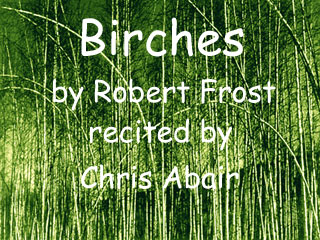 Birches by Robert Frost recited by Chris Abair