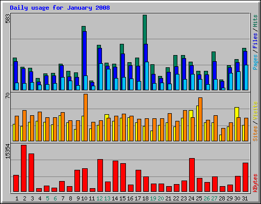 Daily usage for January 2008