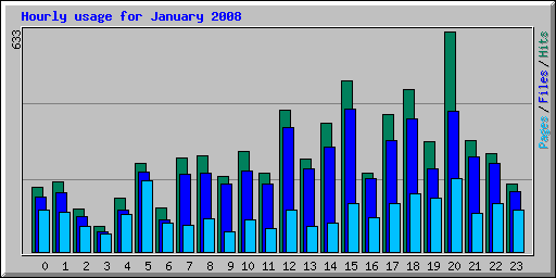 Hourly usage for January 2008